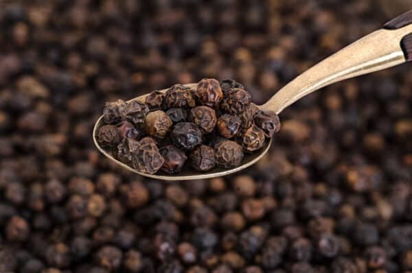 Black Pepper and Its Benefits
